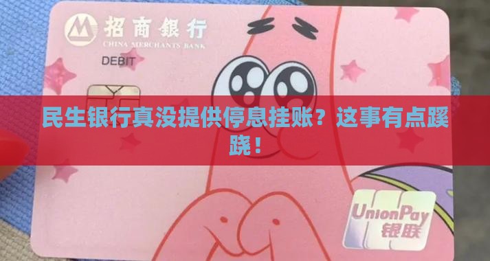 民生银行没有停息挂账吗