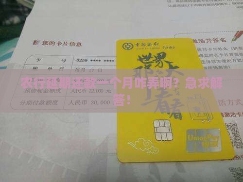 农业银行怎么申请延期一个月还款的流程是什么