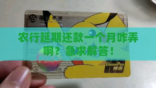农业银行怎么申请延期一个月还款的流程是什么