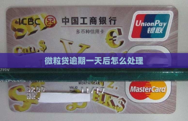 浙江微粒贷逾期一天后怎么处理