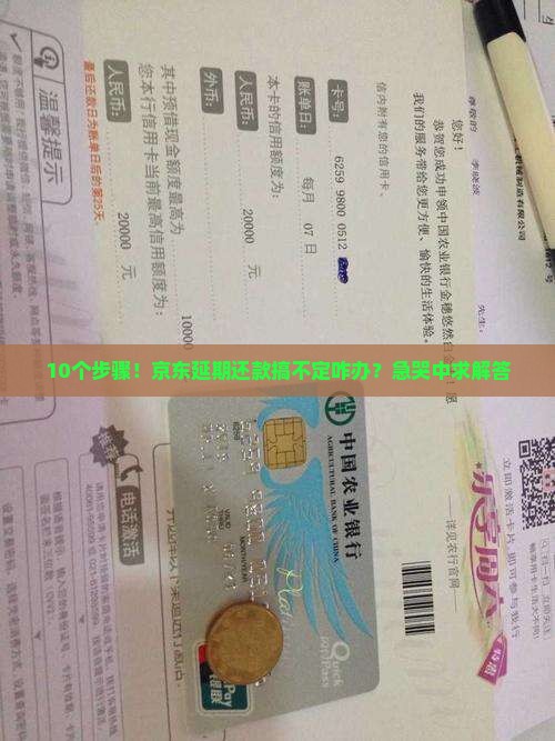 京东延期还款弄不了怎么办理解决方法