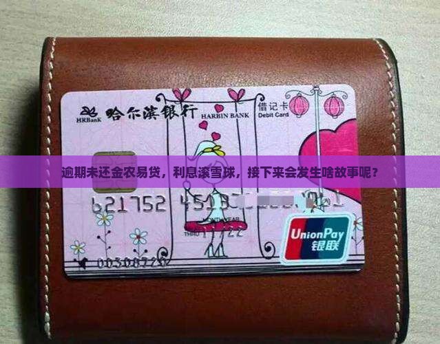 金农易贷利息逾期后会发生什么