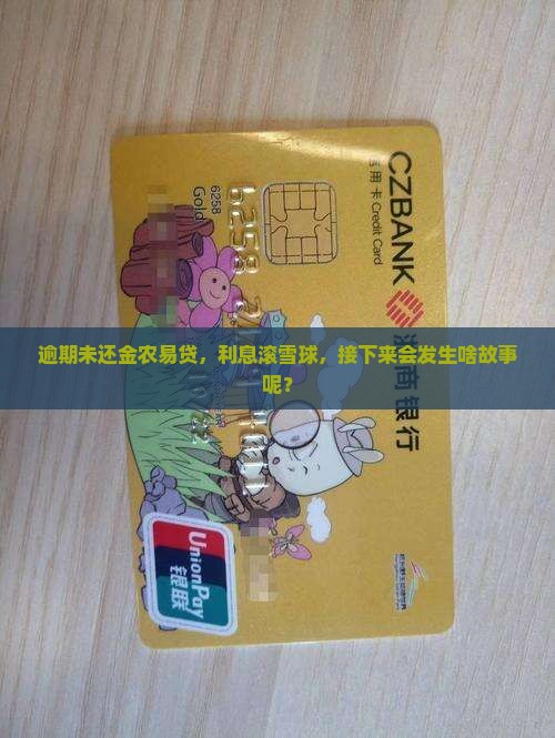 金农易贷利息逾期后会发生什么