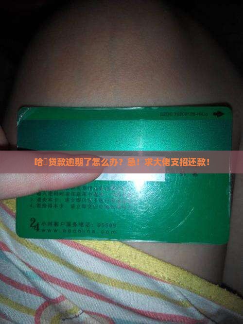 哈啰贷款逾期怎么样可以还款