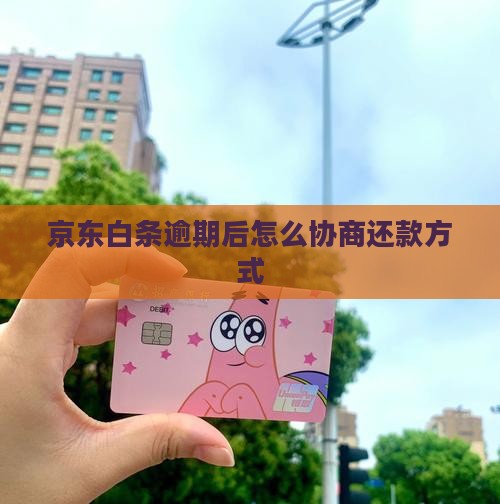 京东白条怎么协商还款方式