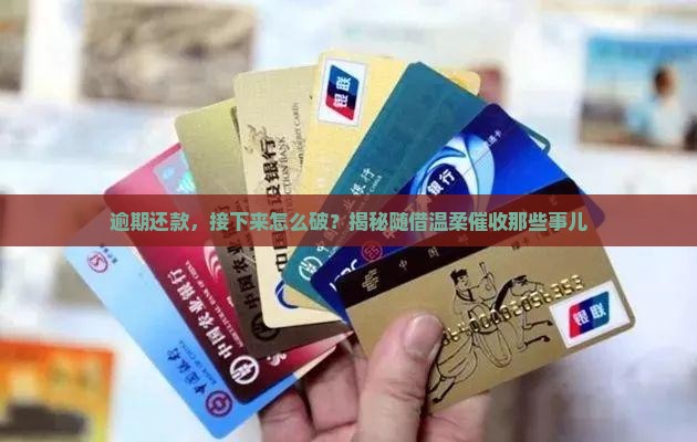 随借逾期处理流程