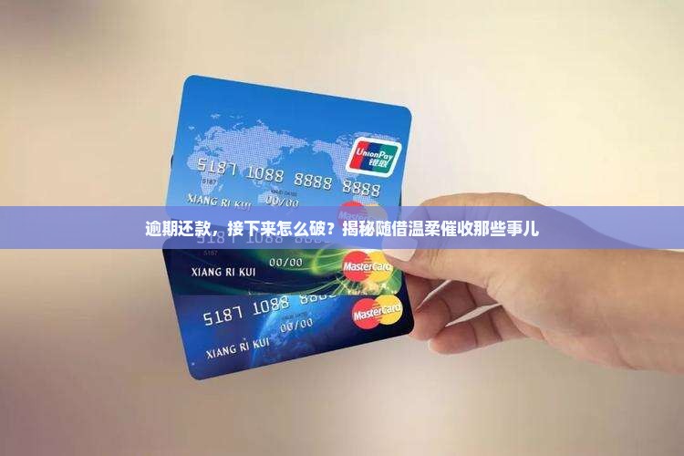 随借逾期处理流程
