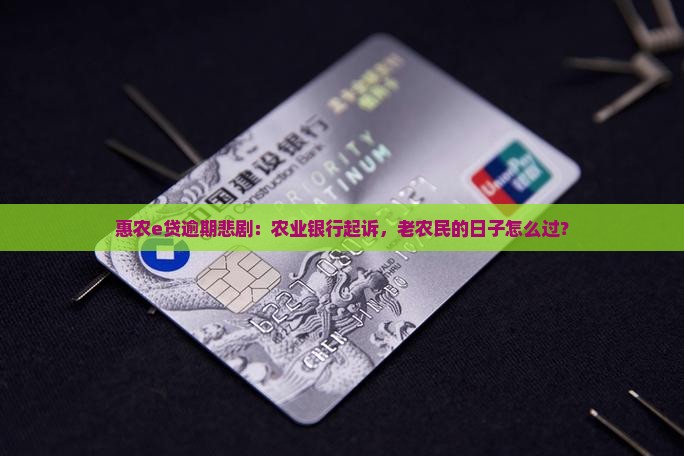 农业银行惠农e贷逾期被起诉了会怎么样