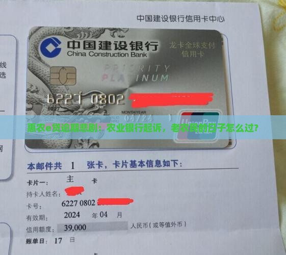 农业银行惠农e贷逾期被起诉了会怎么样