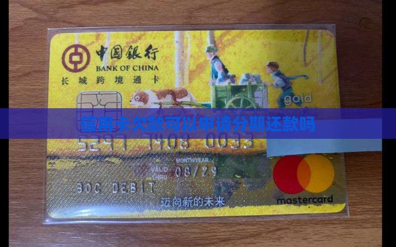 欠信用卡钱分期可以吗怎么办理