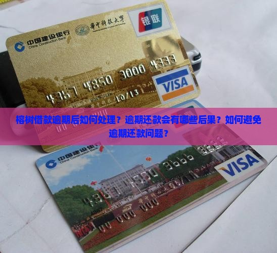 榕树借款逾期了怎么处理