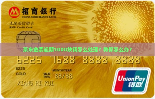 京东金条逾期1000块钱怎么办