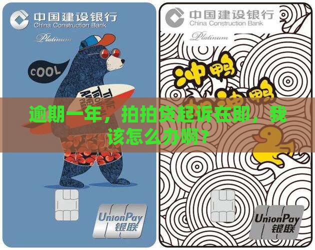 拍拍贷逾期一年要起诉怎么办