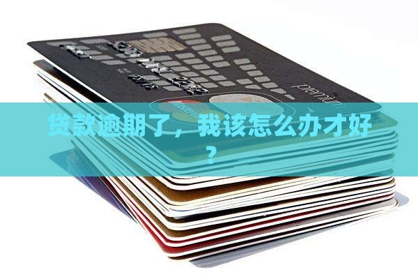 贷款逾期情况下如何处理