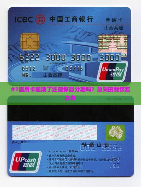 信用卡逾期停息分期方法有哪些