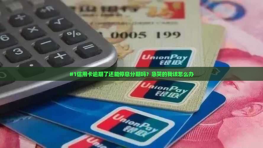 信用卡逾期停息分期方法有哪些