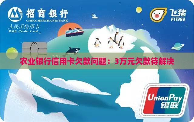 农业银行信用卡欠款3万