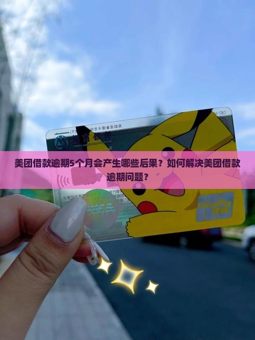 美团借款逾期了5个月了