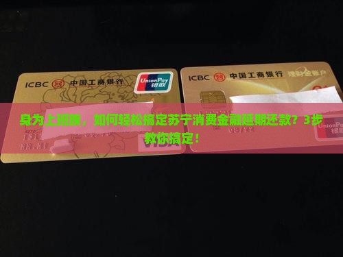 苏宁消费金融申请延期还款流程详解