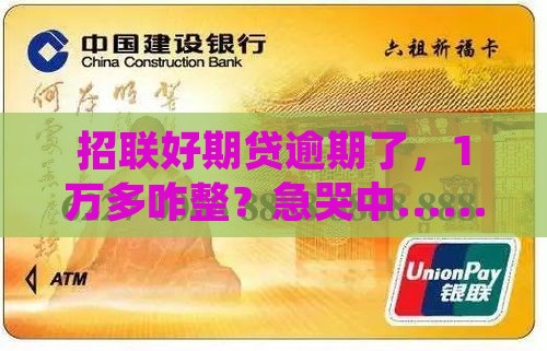 招联好期贷1万多逾期
