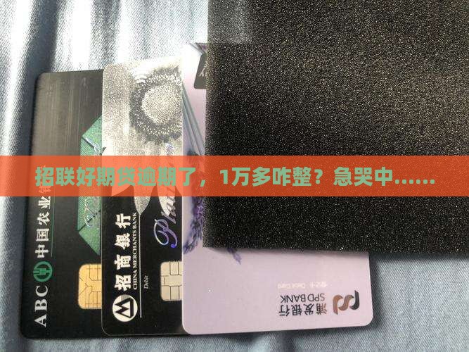 招联好期贷1万多逾期