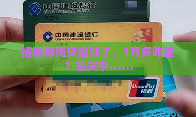 招联好期贷1万多逾期