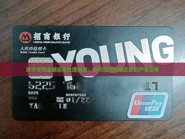 苏宁任性付逾期后果如何处理