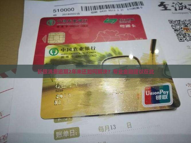 长银消费逾期2年未还怎么办