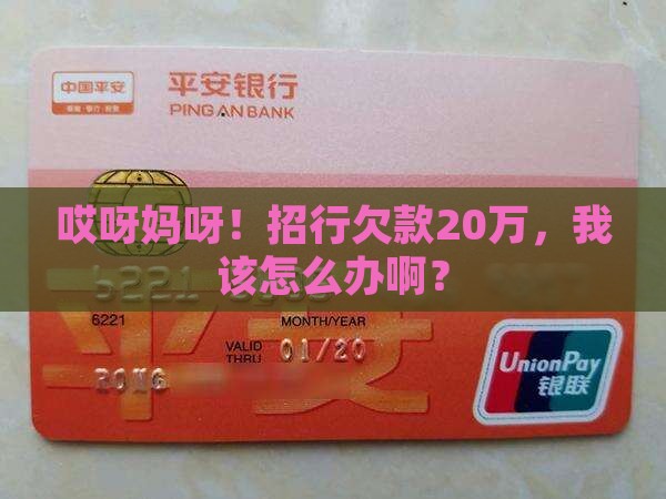招商银行欠款20万如何解决