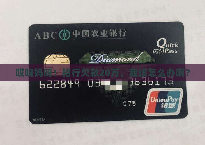 招商银行欠款20万如何解决