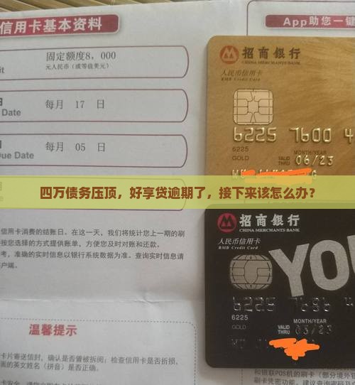 好享贷逾期4万