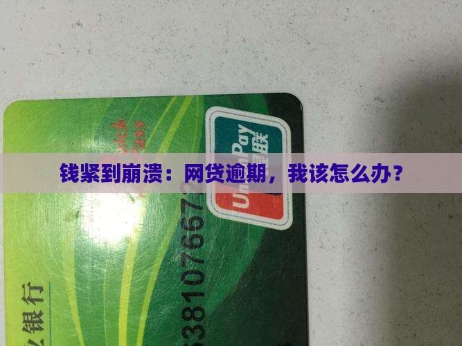 网贷全部逾期无力还款