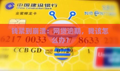 网贷全部逾期无力还款