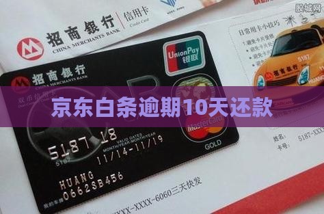 京东白条逾期10天还款