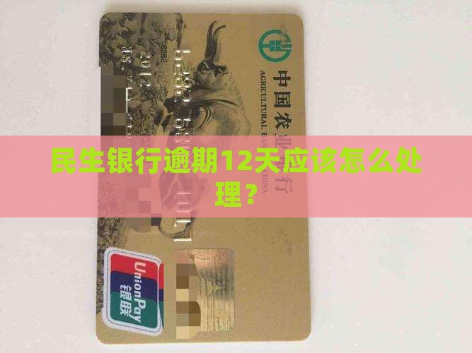 民生银行逾期12天应该怎么处理