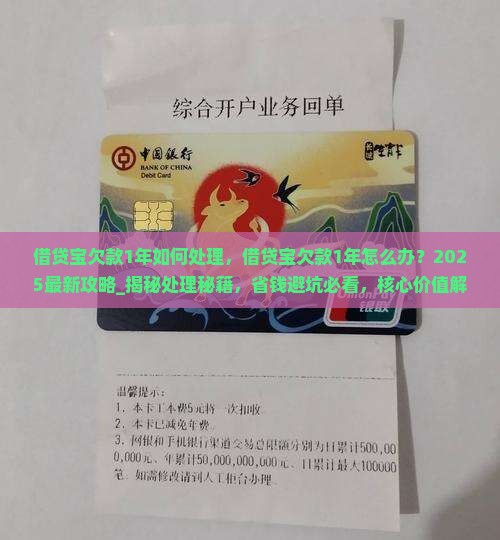 借贷宝欠款1年如何处理