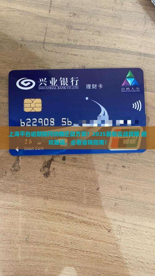 上海平台逾期如何协商还款方案