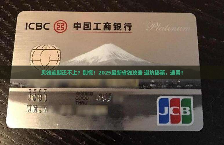 贝钱逾期无力还款怎么办