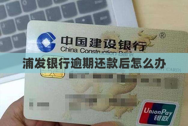 浦发银行逾期还款后怎么办