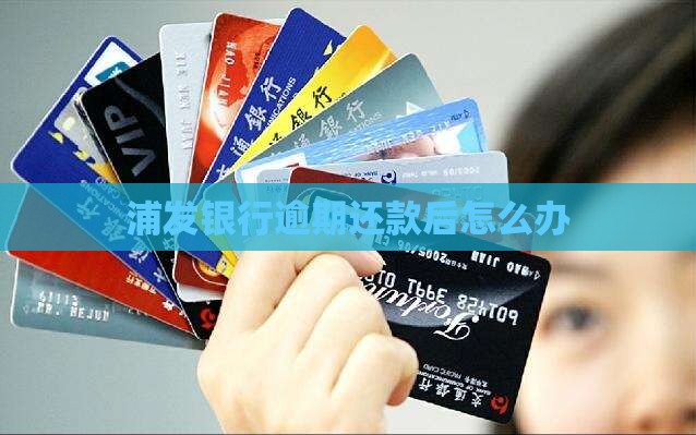 浦发银行逾期还款后怎么办