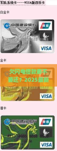 欠闪电借款要不要还