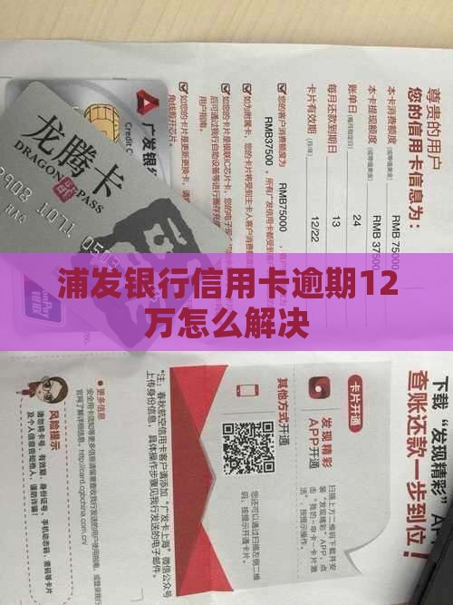 欠浦发银行12万逾期如何解决