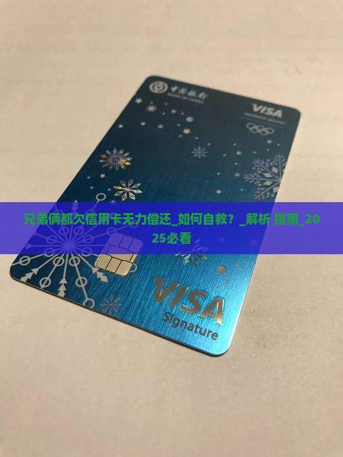 兄弟俩都欠信用卡无力偿还