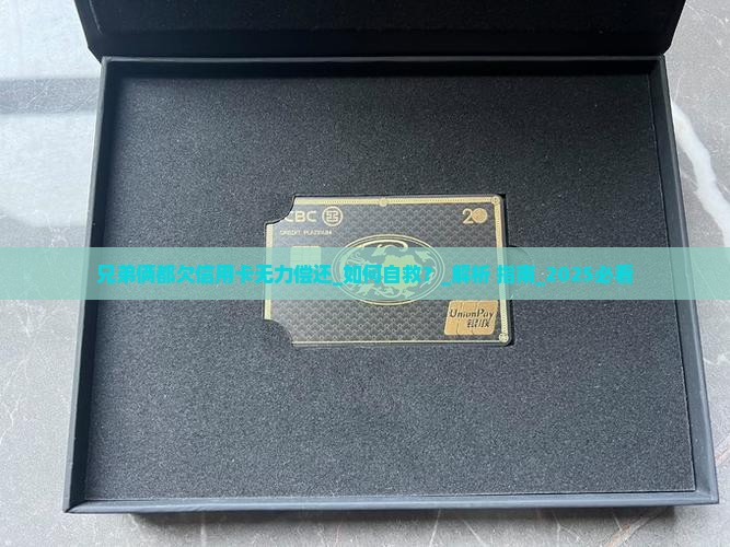 兄弟俩都欠信用卡无力偿还