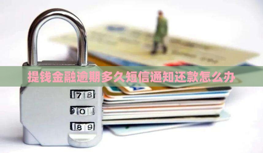 提钱金融逾期多久短信通知还款怎么办