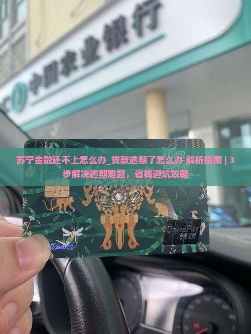 苏宁金融还不上怎么办贷款逾期了怎么办