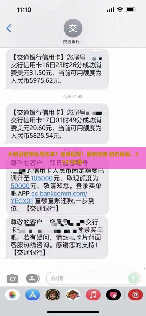大新县欠农村信用社黑名单查询方法及影响
