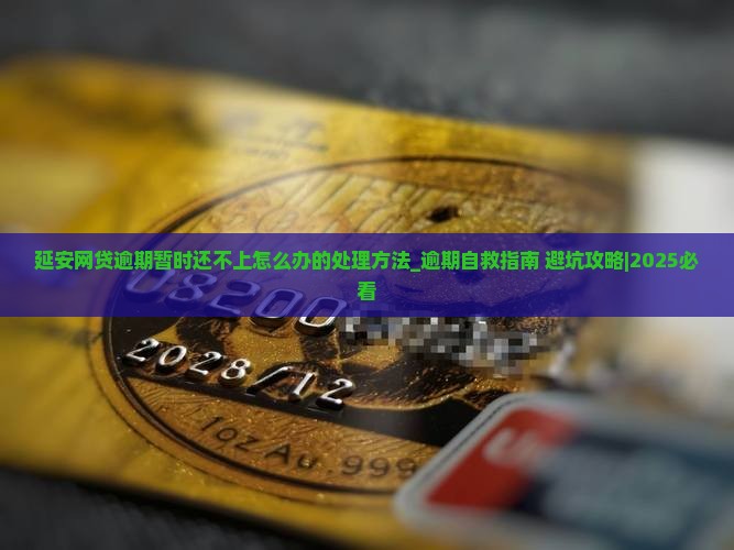 延安网贷逾期暂时还不上怎么办的处理方法