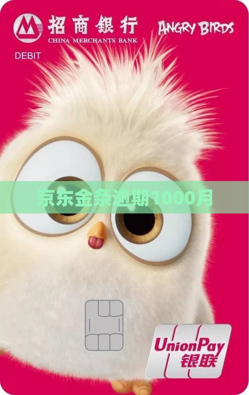 京东金条逾期1000月