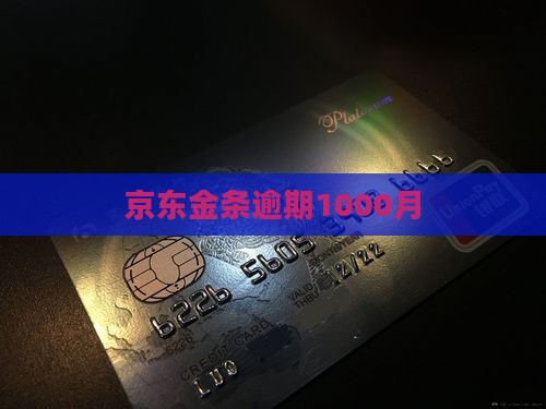 京东金条逾期1000月